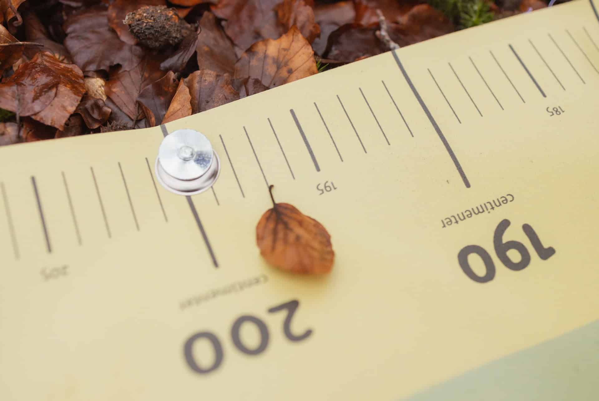 Beleef-en-Leer - 2 - zakje met haringen